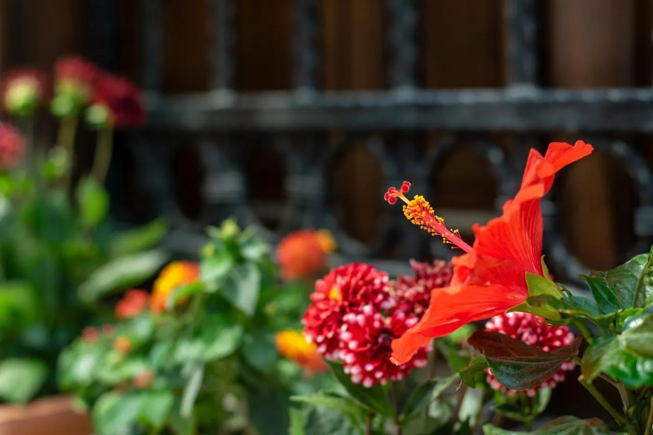 Flores Hotel Alaçatı 3*,  Türkiye