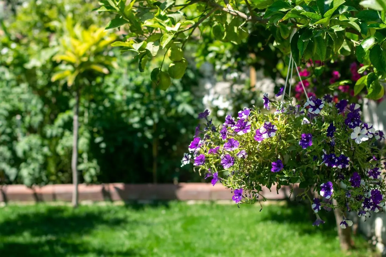 Flores Hotel Alaçatı